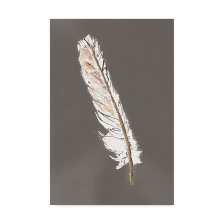 Chris Paschke 'Gold Feathers Ii On Grey' Canvas Art,16x24
